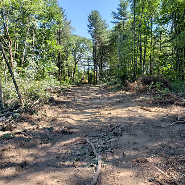 dcs expertise path and trail construction